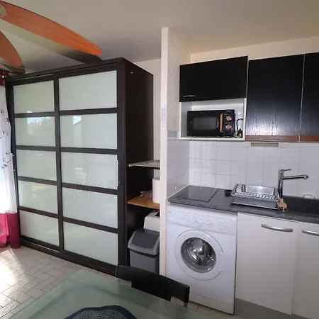 Avec Terrasse Et Parking Au Grau-du-roi - Fr-1-307-256 * Le Grau-du-Roi