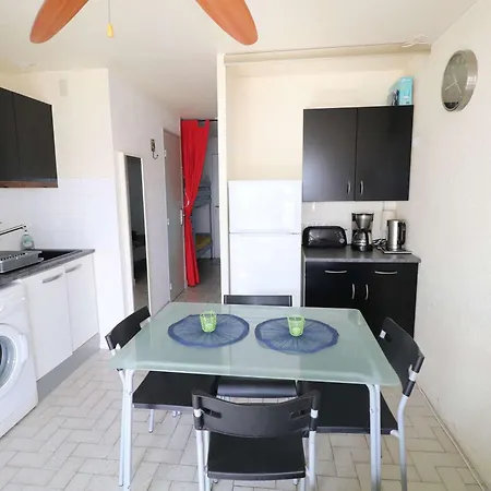Avec Terrasse Et Parking Au Grau-du-roi - Fr-1-307-256