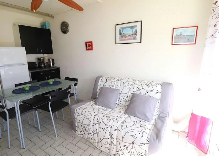 Avec Terrasse Et Parking Au Grau-du-roi - Fr-1-307-256 Le Grau-du-Roi